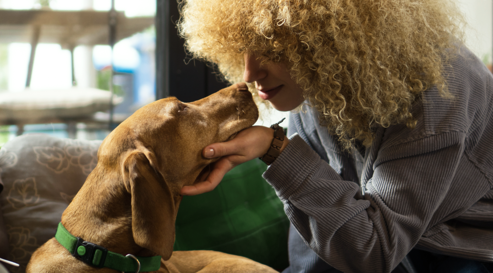 Fundo de Proteção Animal: o impacto dos projetos do Instituto Caramelo e do Recomeçar RS no Vakinha